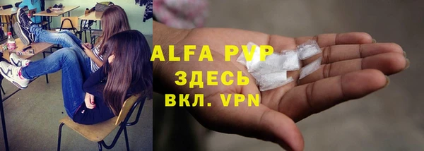 спиды Кодинск