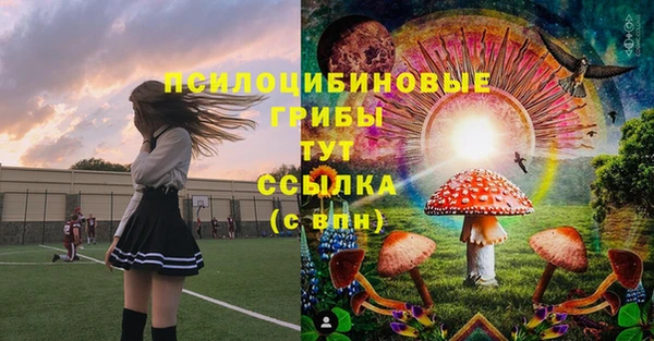 спиды Кодинск