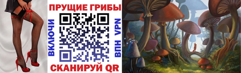 Купить закладки  Бежецк  Псилоцибиновые грибы GOLDEN TEACHER 